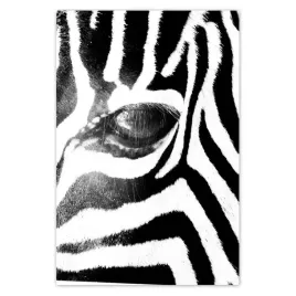 baner-80x120-zebra-paski