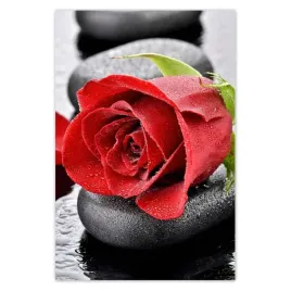 baner-80x120-czerwone-roze-kamienie