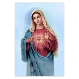 baner-80x120-matka-boska-maryja-maria