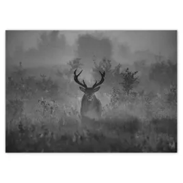 baner-70x50-jelen-we-mgle