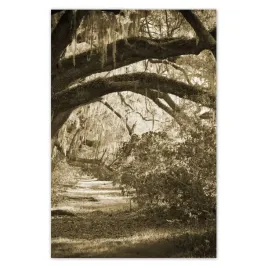 baner-80x120-deby-w-parku-sepia