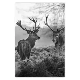 baner-80x120-jelenie-w-lesie-zdjecie