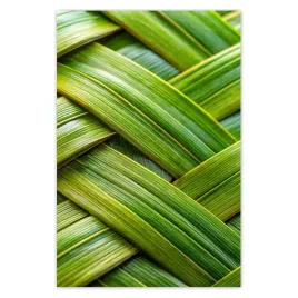 baner-80x120-zielona-plecionka-zielony-rattan