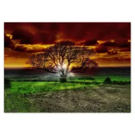 baner-70x50-magiczne-drzewo-krajobraz