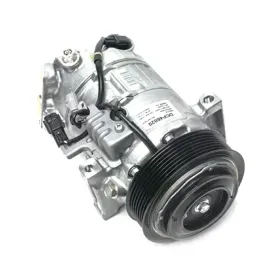 kompresor-klimatyzacji-denso-dcp46020