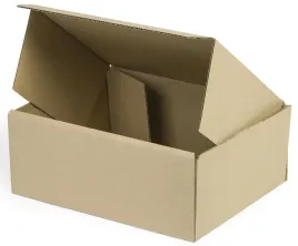 karton-pudelko-fasonowe-250x200x100-10-szt-400-g