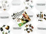 gra-ale-pary-brainrot-czas-rozgrywki-do-15-minut