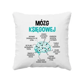 mozg-ksiegowej-poduszka-prezent-dla-ksiegowej
