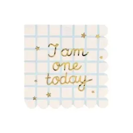 serwetki-papierowe-i-am-one-today-33x33cm