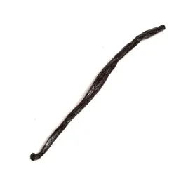 wanilia-laska-12-14-cm-100g