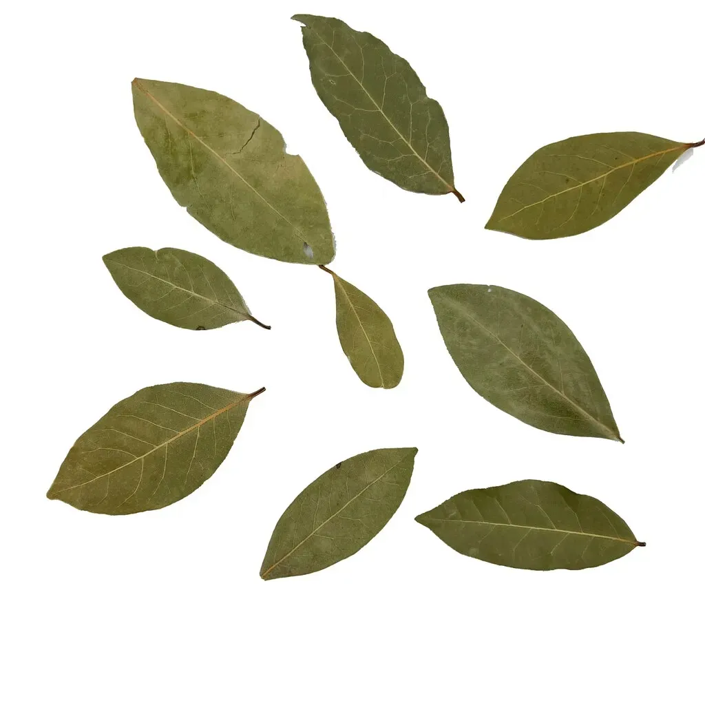 lisc-laurowy-250g