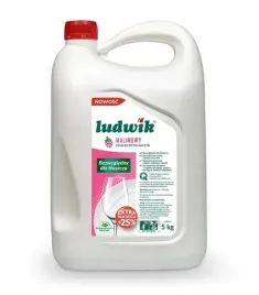 plyn-do-mycia-naczyn-zapas-malinowy-5l-ludwik