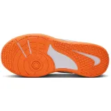 omni-multi-court-marka-nike