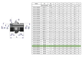 przylaczka-hydrauliczna-bb-xge-m36x2-28l2-28l-x-3-4-bsp-ed-warynski-sp