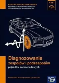 mechanik-samochodowy-pg-diagnozowanie-zespolow