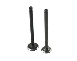 zawory-zawor-ssacy-wydechowy-skuter-4t-romet-zipp