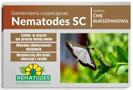 nicienie-na-cme-bukszpanowa-nematodes-sc-50-mln-100m-naturalne-bio-ochrona