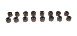 uszczelniacze-zaworowe-komplet-dodge-dakota-1992-1999-5-2l-v8
