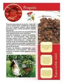 broszura-informacyjna-propolis-20-sztuk