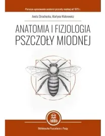 anatomia-i-fizjologia-pszczoly-miodnej