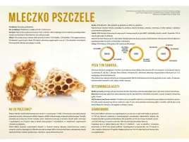 tablica-duza-xl-edukacyjna-mleczpo-pszczele-f253