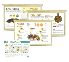 tablice-informacyjne-do-ula-edukacyjnego-10-szt