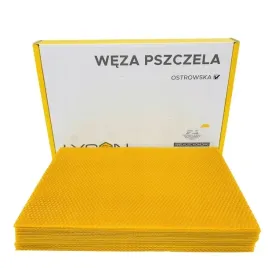 weza-pszczela-ostrowska-lyson-5-kg-karton