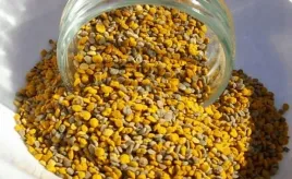 pylek-pszczeli-kwiatowy-5-kg-naturalny-witaminy-pylek-pszczeli-5kg