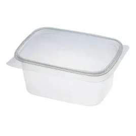 pojemnik-pp-250ml-prostokatny-z-pokrywka-a100