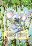 karnet-a5-koala