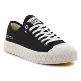 palla-ace-cvs-org