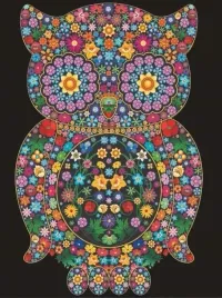 kolorowanka-welwetowa-47x35cm-sowa-colorvelvet