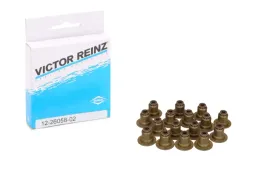 reinz-uszczelniacze-zaworowe-do-bmw-1-f20-3-f30-f31-citroen-cx5-grandland