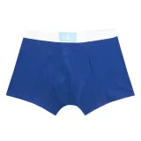 bokserki-dzieciece-calvin-klein-2-pack-b70b700436-plec-chlopcy