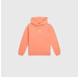 dziecieca-bluza-o-neill-back-print-hoodie-128
