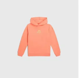 dziecieca-bluza-o-neill-back-print-hoodie-164