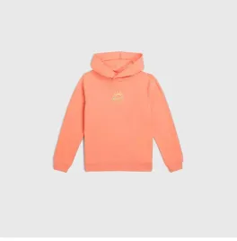 dziecieca-bluza-o-neill-back-print-hoodie-176