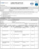 ostrovit-monohydrat-kreatyny-300-g-kreatyna-monohydrat-creatine-marka-ostrovit