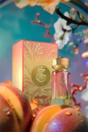 paris-corner-khair-peach-delulu