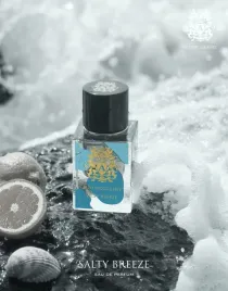 paris-corner-autobiography-salty-breeze
