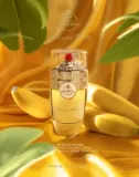 paris-corner-banana-bliss