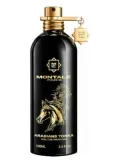 montale-arabians-tonka