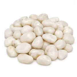 kamyki-kamienie-dekoracyjne-otoczaki-akwarium-kwietnik-500g-biale