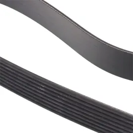 pasek-wielorowkowy-8pk1920-man-tgx-tgs-tga-mb-sampa-sampa-8pk1920
