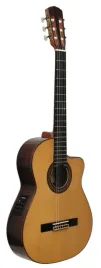 hiszpanska-gitara-elektroklasyczna-4-4-salamanca-raimundo-guitarras-13