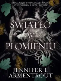 swiatlo-w-plomieniu