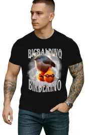 koszulka-t-shirt-meska-chlopak-bigbaldino-birderino-rozmiar-l-przod-w674