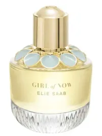 elie-saab-girl-of-now-edp-90-ml-tester