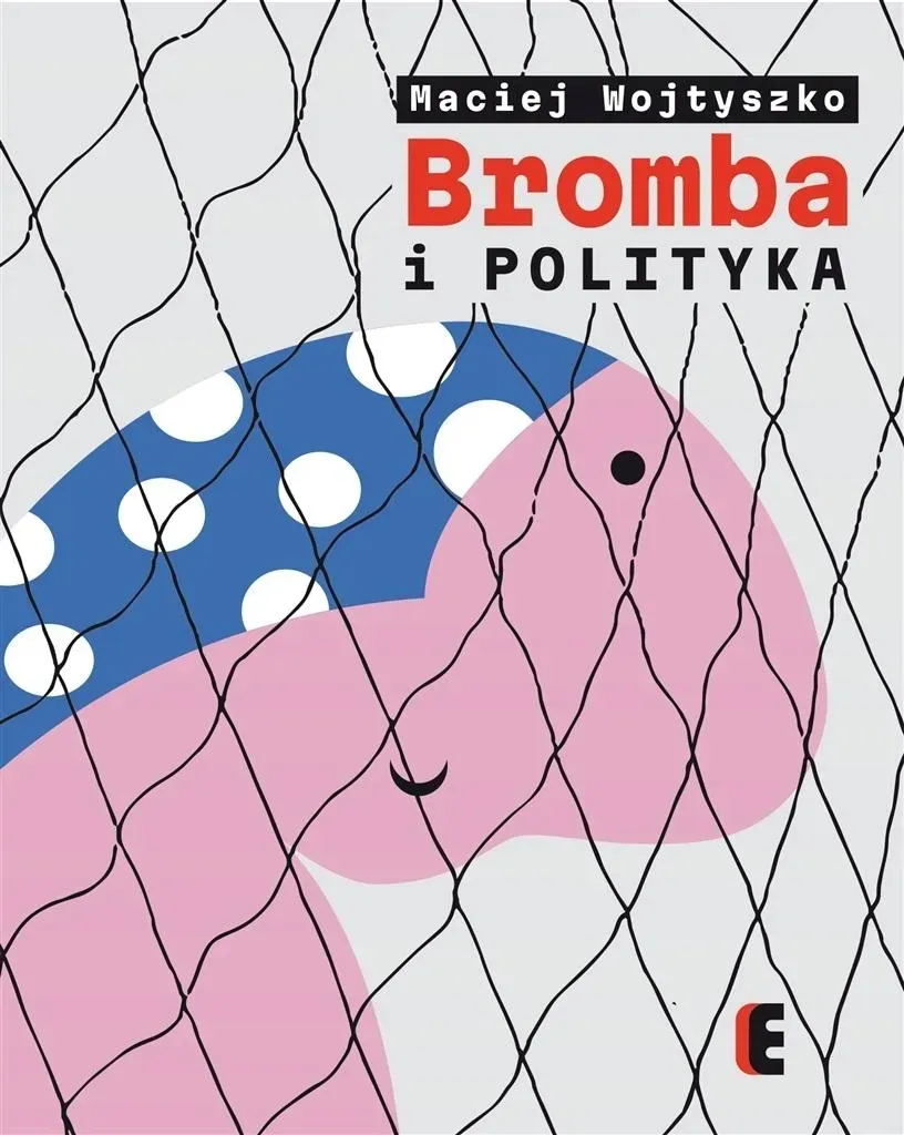 bromba-i-polityka