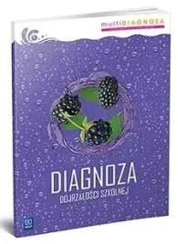 diagnoza-dojrzalosci-szkolnej